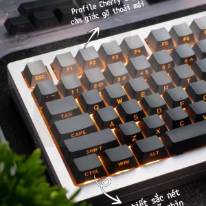 Keycap xuyên led mạch xuôi side print gradient cherry profile nhựa pbt doubleshot
