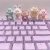 Kawaii Dễ Thương Nâng Cấp Bàn Phím Chơi Game Của Bạn Với Bàn Phím Cơ Tùy Chỉnh Animal Keycaps – PBT & Cherry Mx